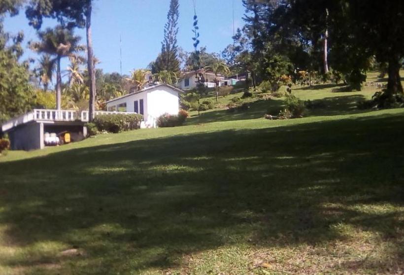 پانسیون Shotover Gardens Estate