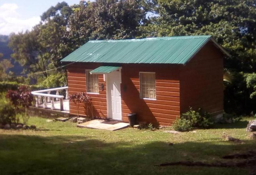 پانسیون Shotover Gardens Estate