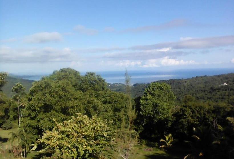 پانسیون Shotover Gardens Estate