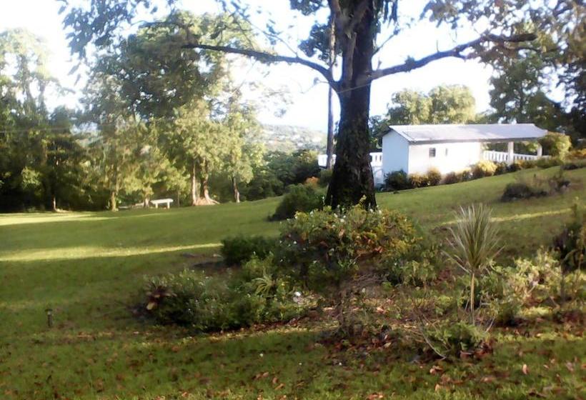 پانسیون Shotover Gardens Estate