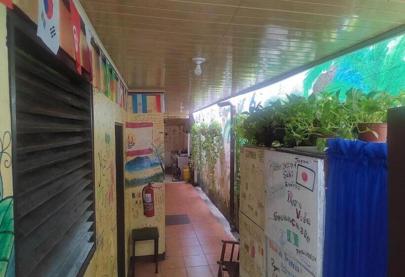 Hostel Pura Vida En Liberia