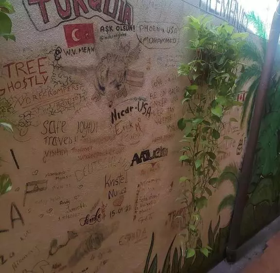 Hostel Pura Vida En Liberia