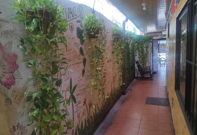 Hostel Pura Vida En Liberia