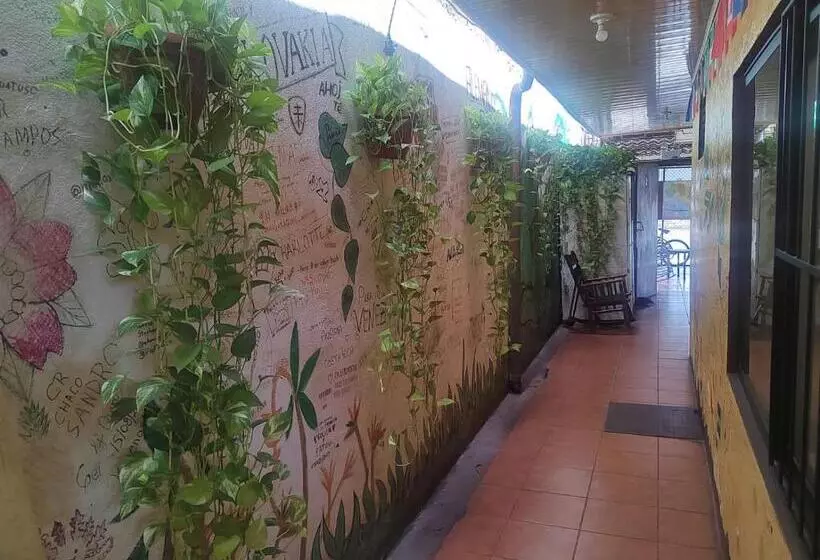 Hostel Pura Vida En Liberia