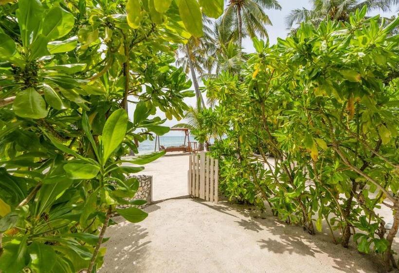 پانسیون Veli Vilaa