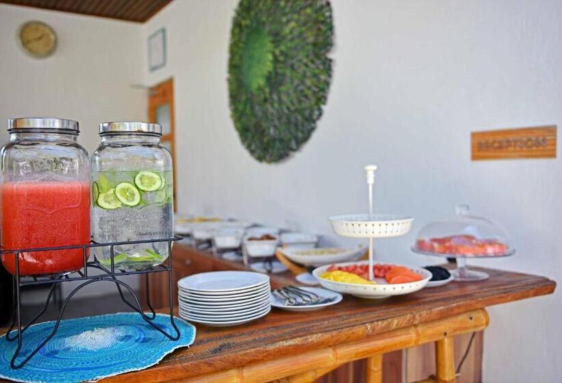 پانسیون Veli Vilaa