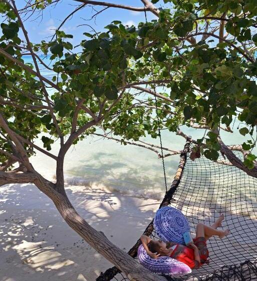 پانسیون Veli Vilaa