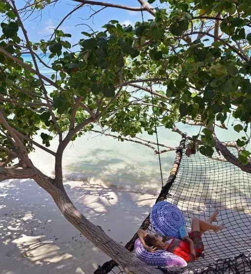 پانسیون Veli Vilaa