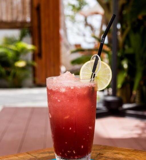 پانسیون Veli Vilaa