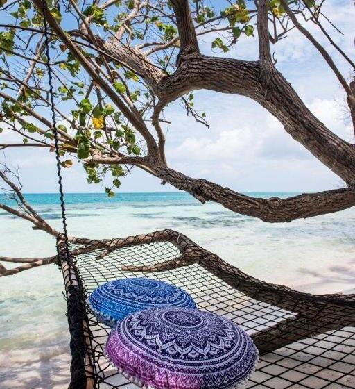 پانسیون Veli Vilaa