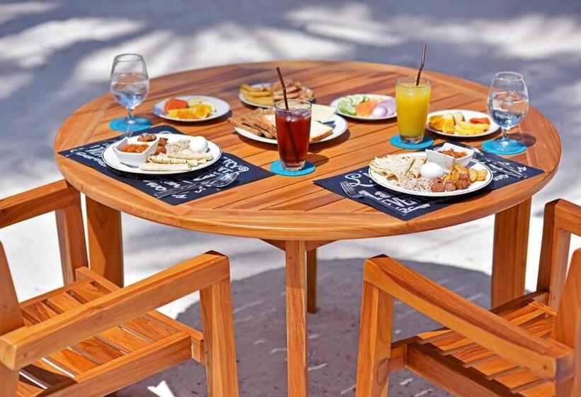 پانسیون Veli Vilaa