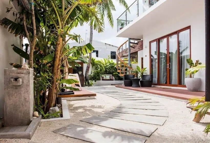 پانسیون Veli Vilaa Dhiffushi   Beachfront