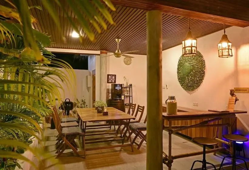 پانسیون Veli Vilaa Dhiffushi   Beachfront