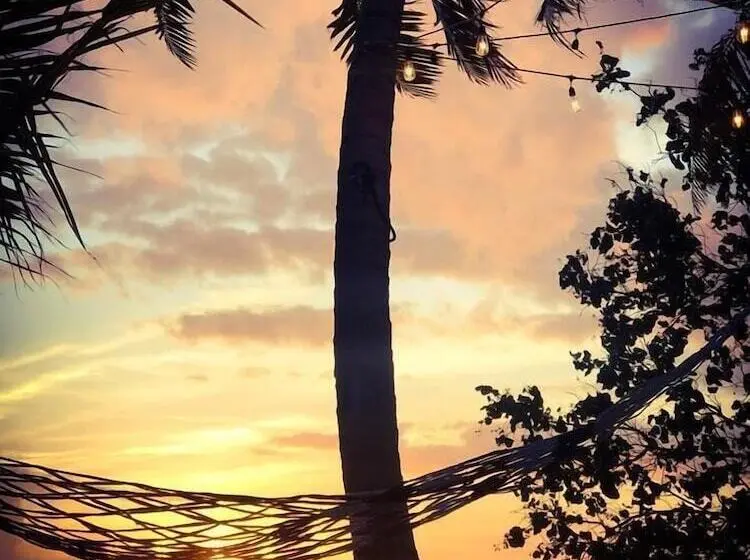 پانسیون Veli Vilaa Dhiffushi   Beachfront
