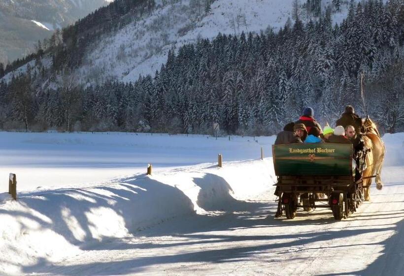 فندق صغير Landgasthof Buchner