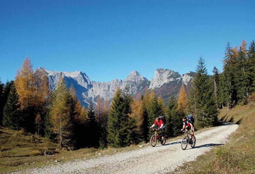 فندق صغير Landgasthof Buchner