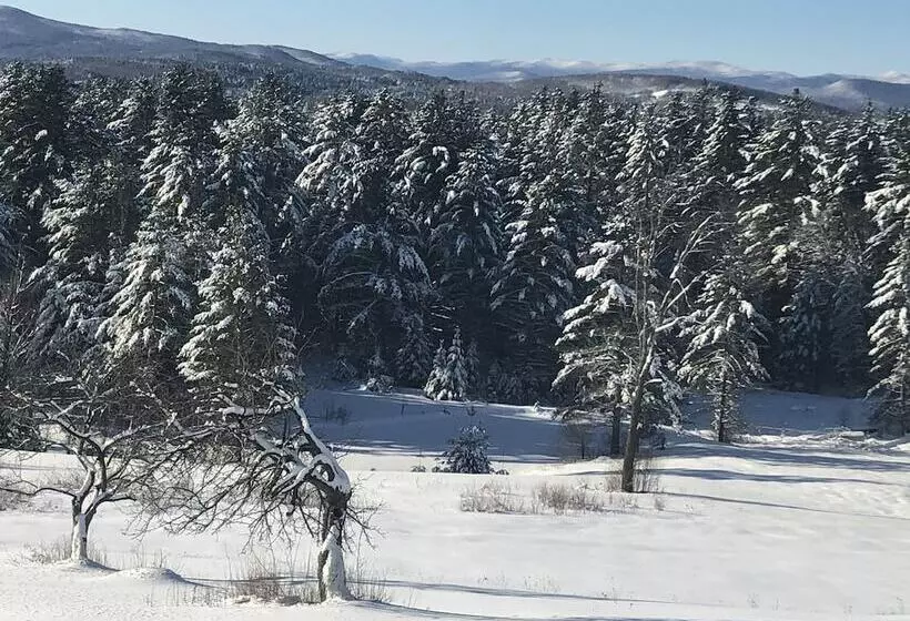 ベッドアンドブレックファースト High Hill Inn