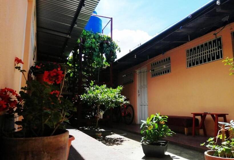 پانسیون Hostal Mariella