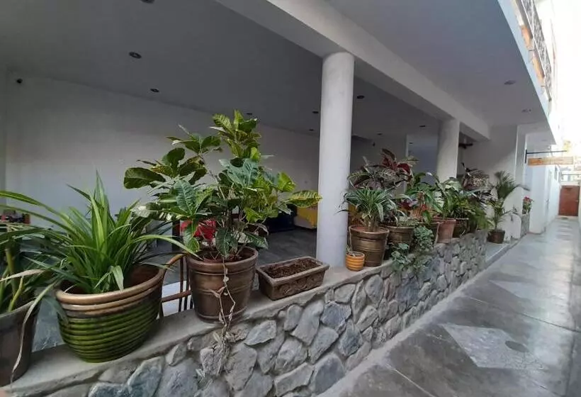 El Huerto Hostel