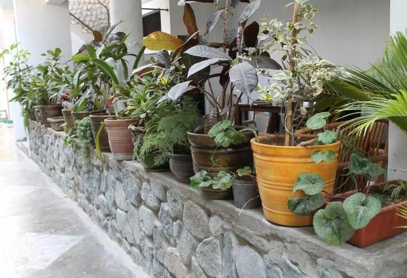 El Huerto Hostel
