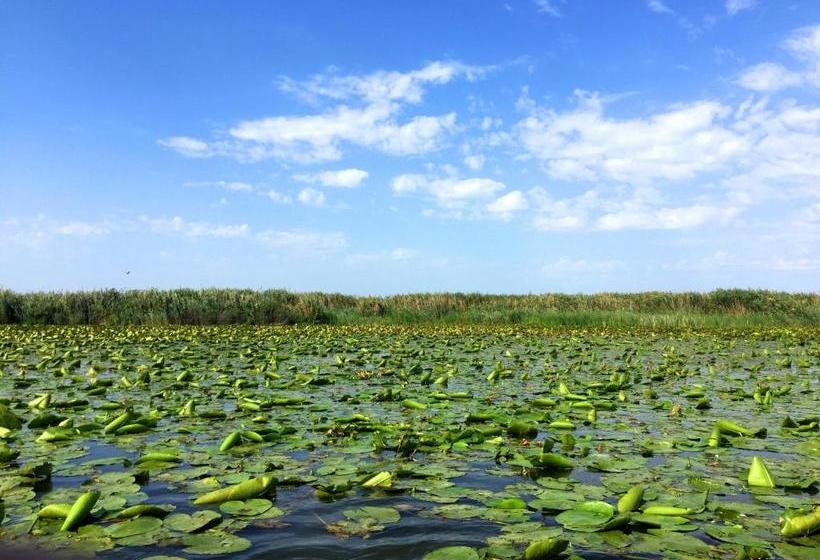 Pensiunea Blue House