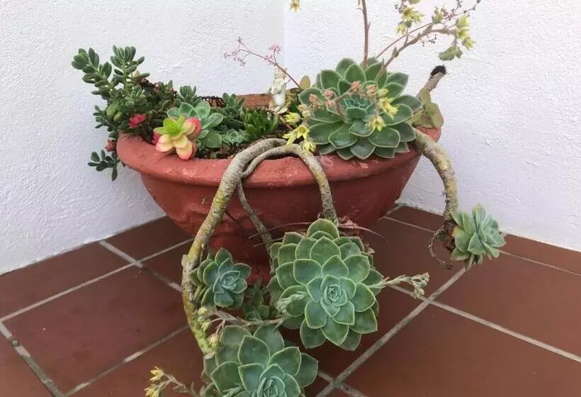 Majatalo Bluesky Arniston Guest House