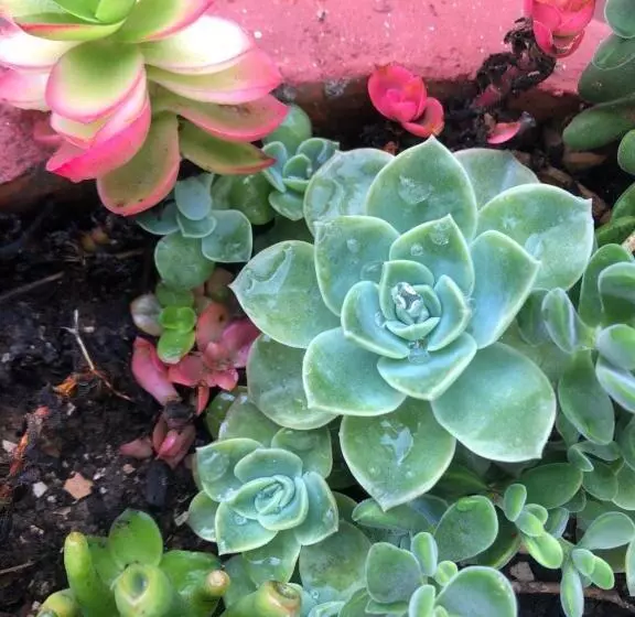 Majatalo Bluesky Arniston Guest House