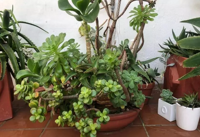 Majatalo Bluesky Arniston Guest House