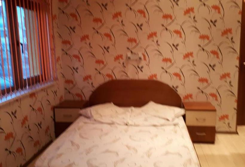 פנסיון Guest House Blisten