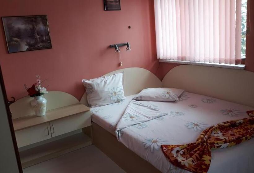 פנסיון Guest House Blisten