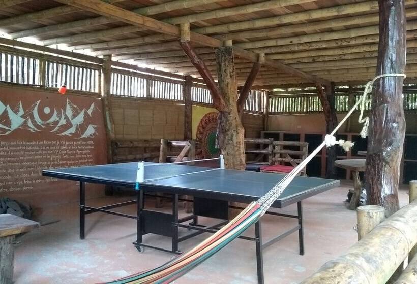 هاستل Kanta Sana