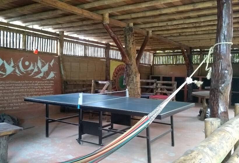 هاستل Kanta Sana