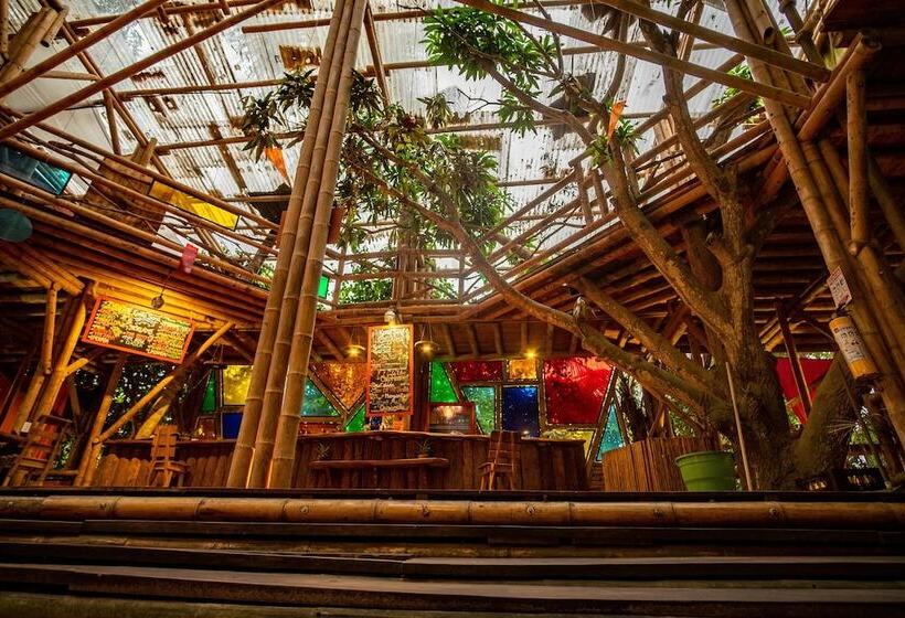 هاستل Kanta Sana