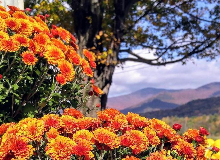 호스텔 The Marble West Inn