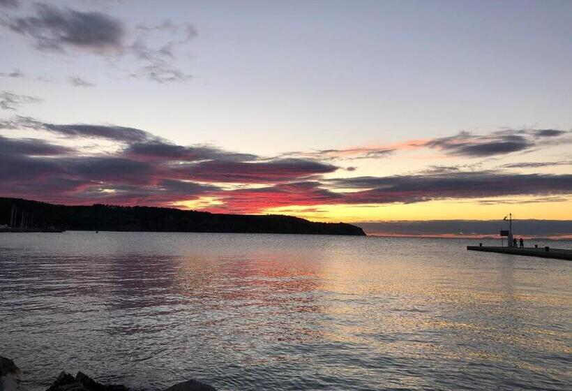 펜션 Apartments & Rooms Nardin