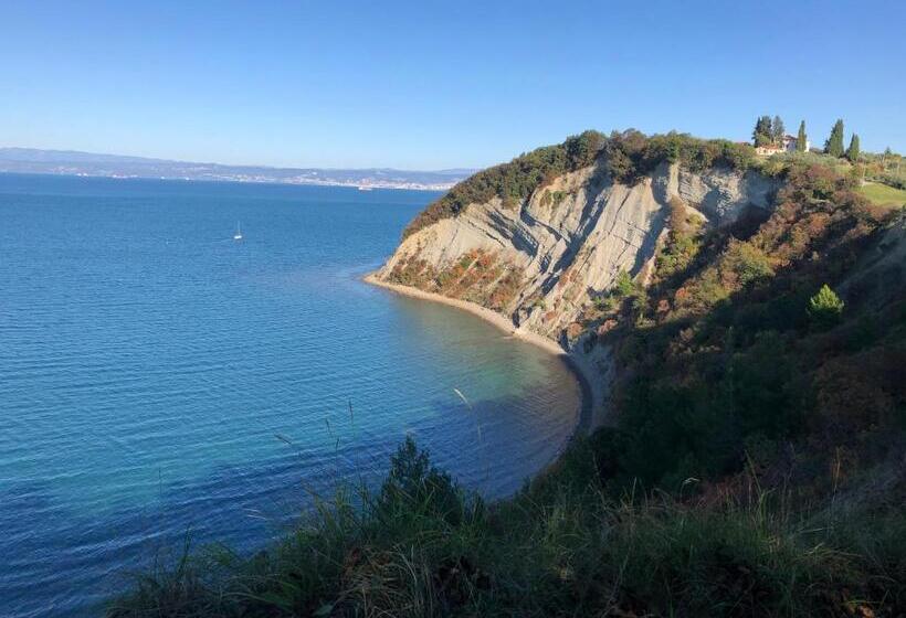 펜션 Apartments & Rooms Nardin