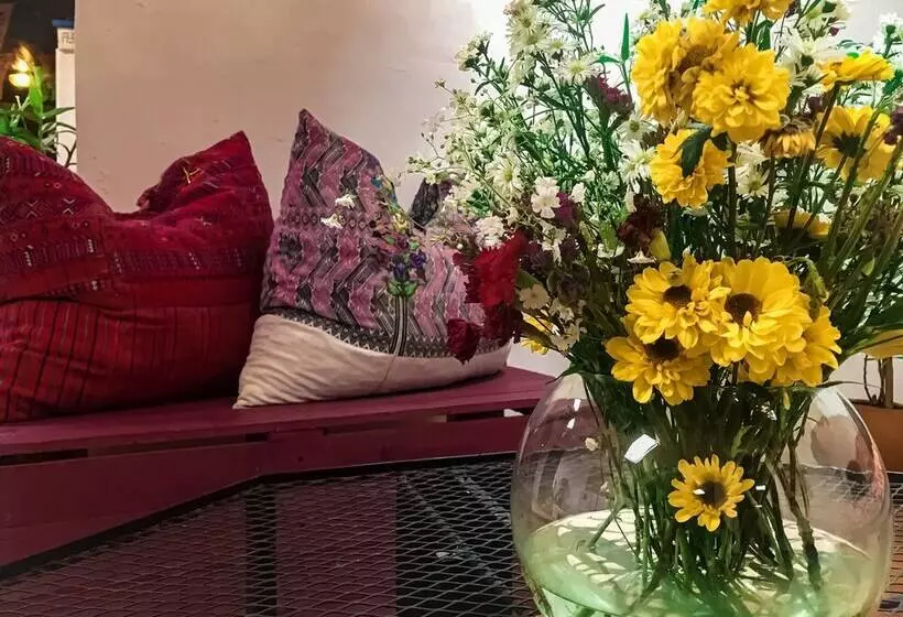 ペンション Corazón Corteza