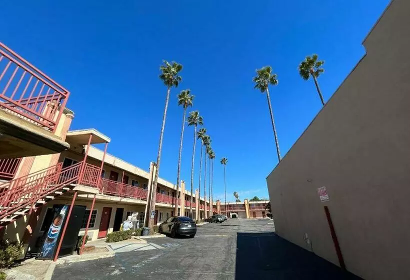 モーテル Palm Tree Inn