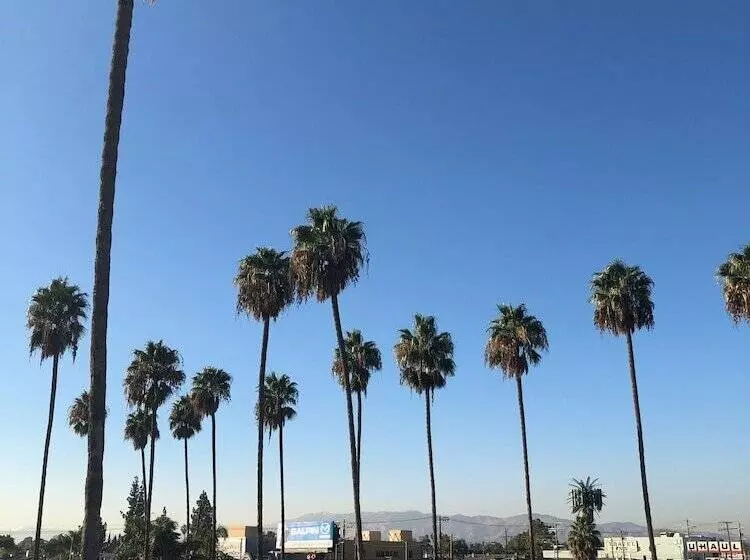 モーテル Palm Tree Inn