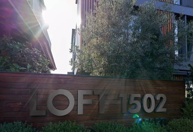 Loft 1502
