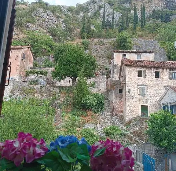 پانسیون Guesthouse Bit Accommodation