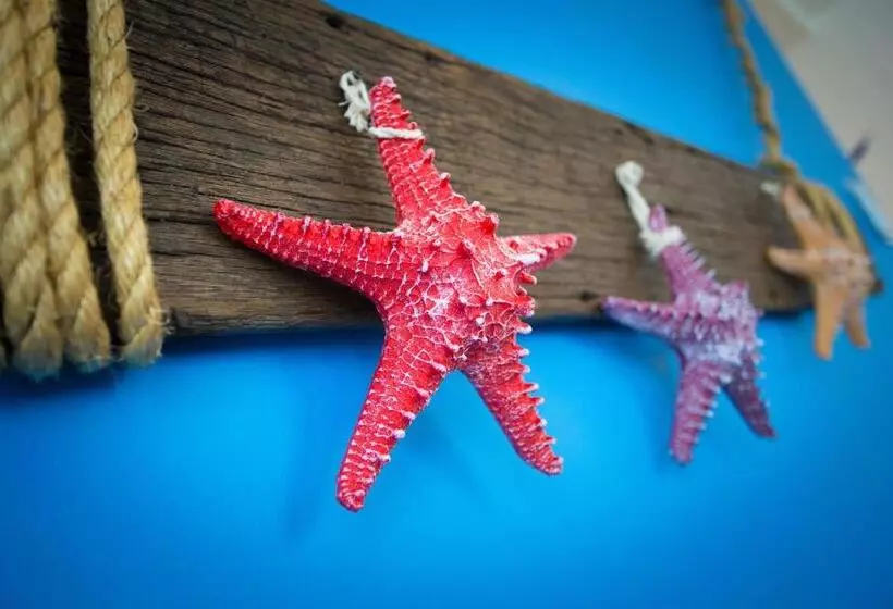 Majatalo Hard Rock Vip Guest House