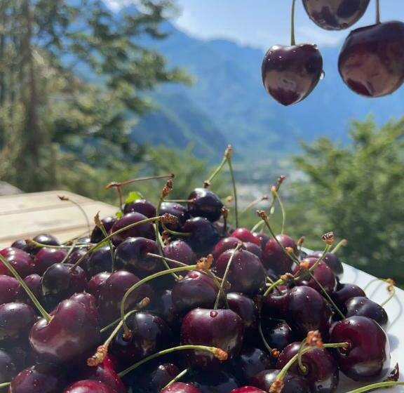 Thethi Paradise Hotel & Restaurant