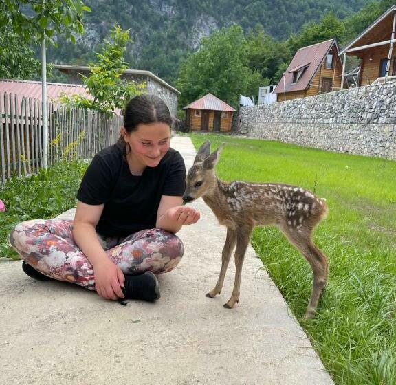 Thethi Paradise Hotel & Restaurant