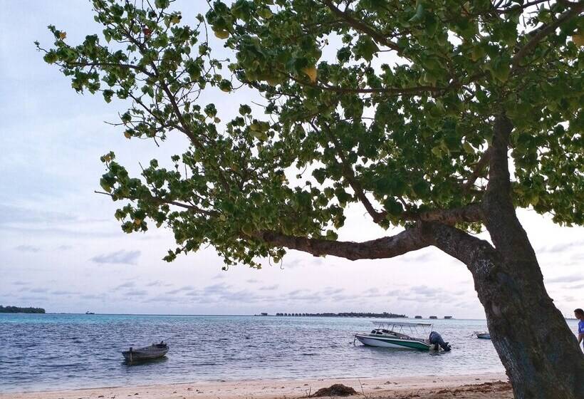 پانسیون Medhufaru Inn