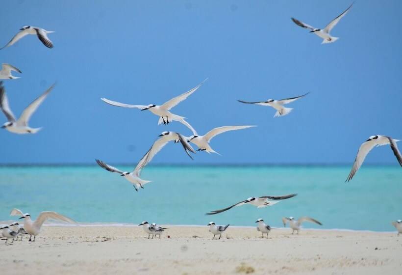 پانسیون Medhufaru Inn