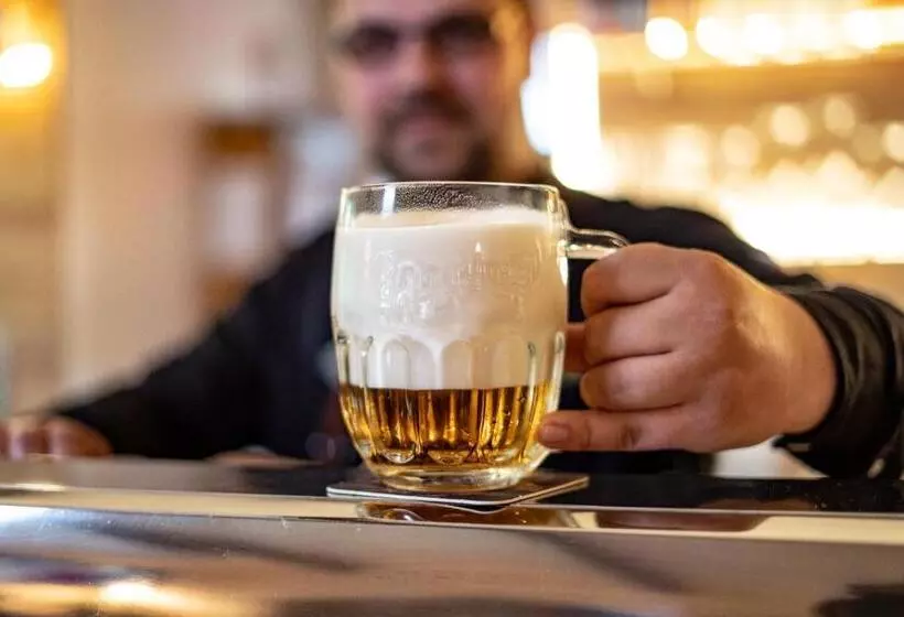 پانسیون Penzion & řízkárna