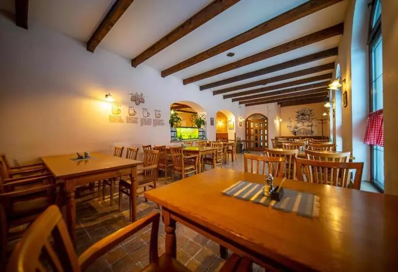 پانسیون Penzion & řízkárna