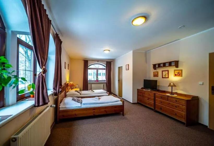 پانسیون Penzion & řízkárna