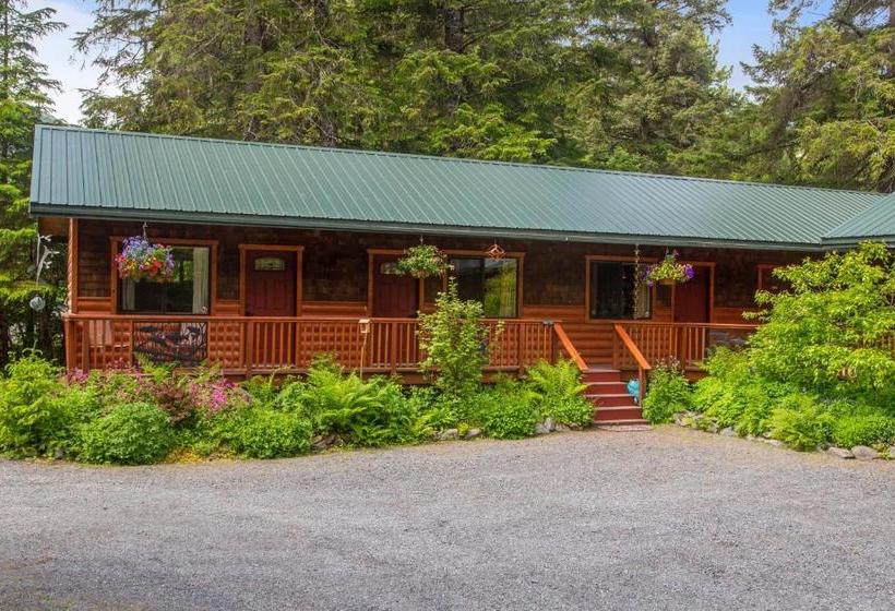 فندق صغير Steller Inn